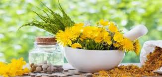 Alternative medicine and herbal medicine
